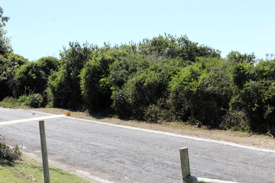 0 Bedroom Property for Sale in Begha Eastern Cape